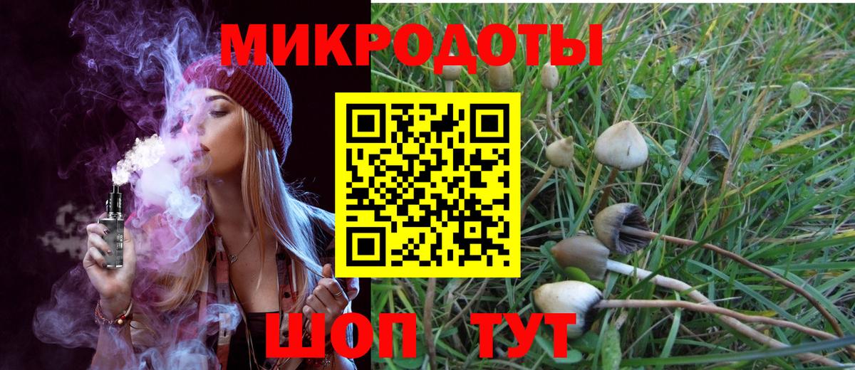 дарнет шоп  Галлюциногенные грибы Magic Shrooms  Вход с VPN  Псилоцибиновые грибы прущие грибы  Баксан 