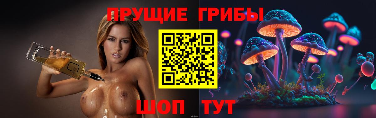 Псилоцибиновые грибы мухоморы Баксан
